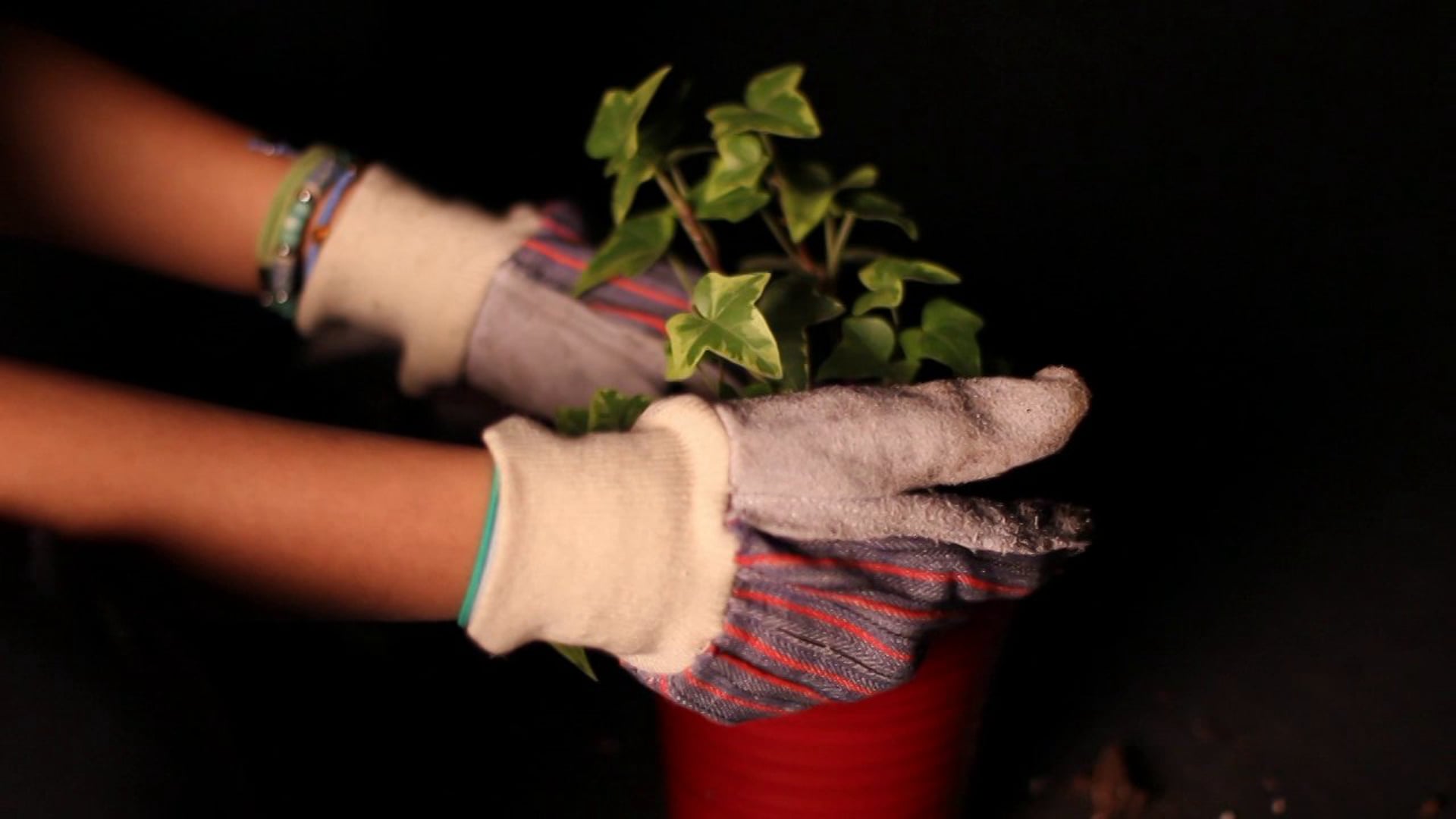 Drive - Illumination Portfolio Video