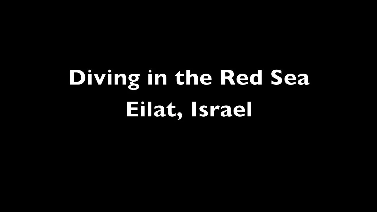 Preview of Geoff Gersh’s Eilat diving film