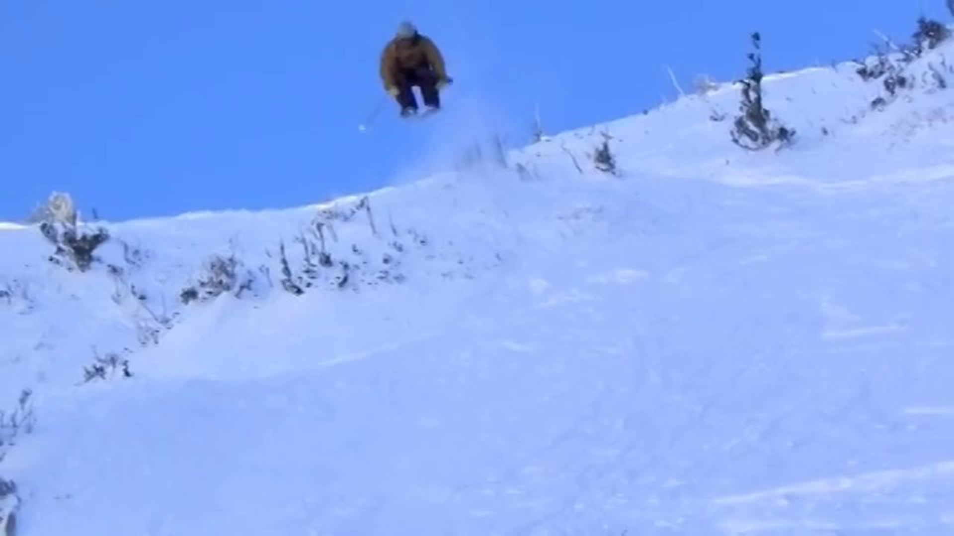 O.G. Panda Vid #2