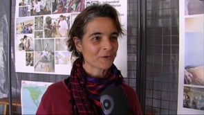 Mone Serra fa una xerrada sobre ONGs a l'institut.