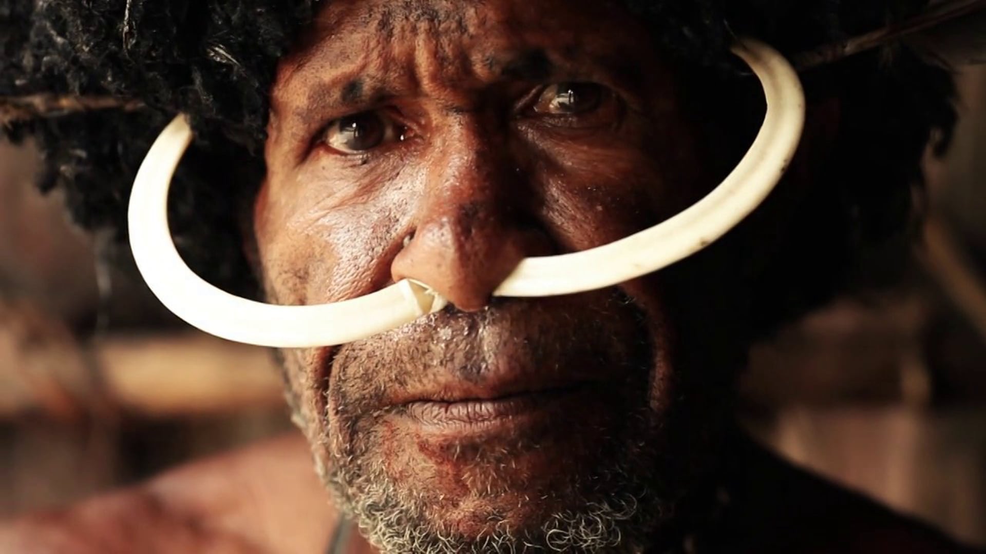 PAPUA with Paganel Studio 2014 HD