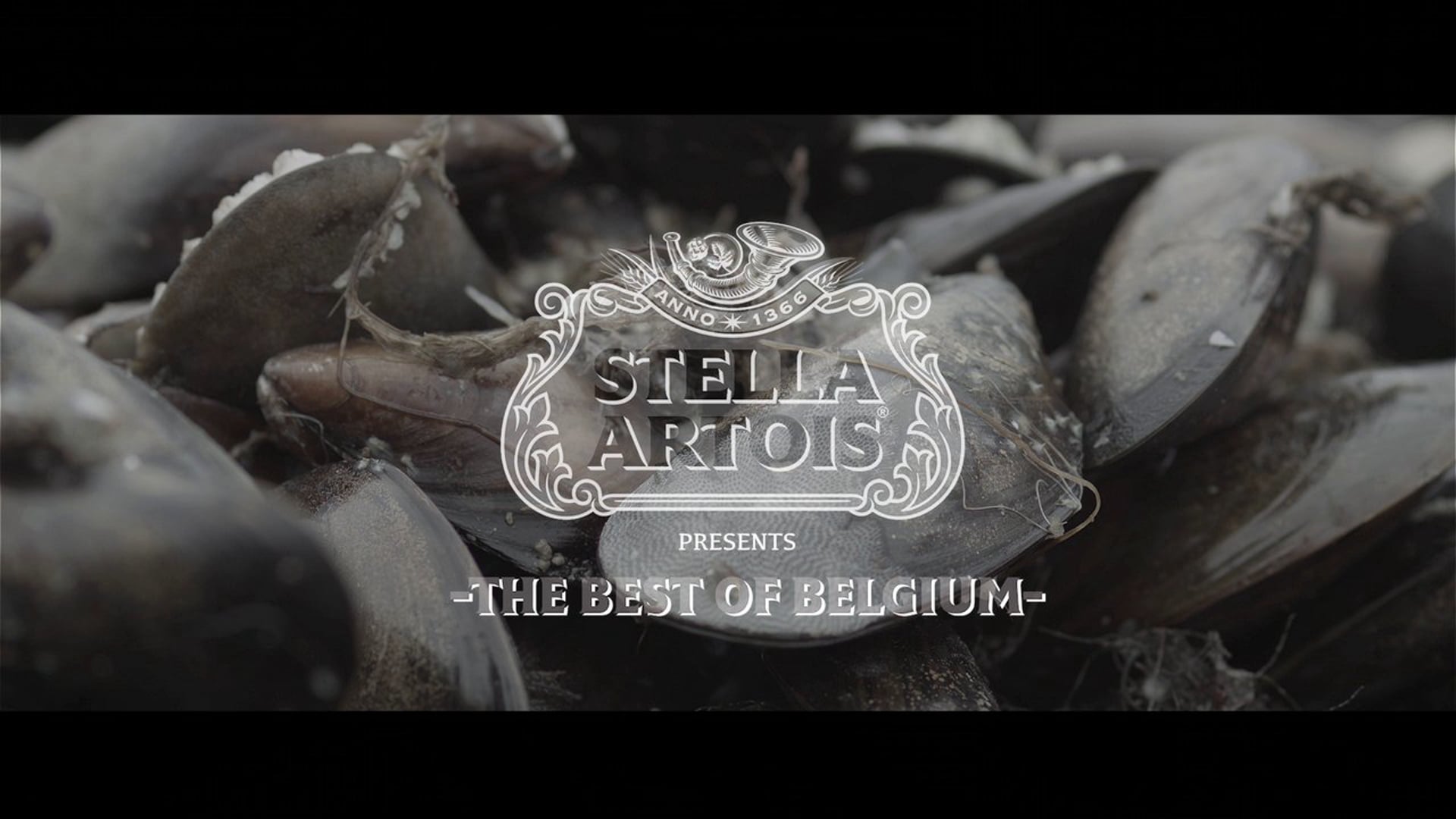 Stella Artois - The Best of Belgium - Mussels