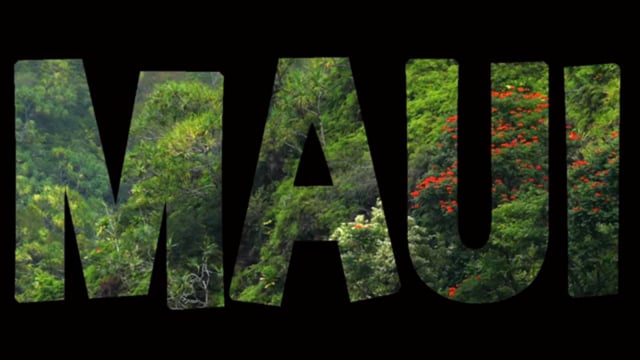 MAUI