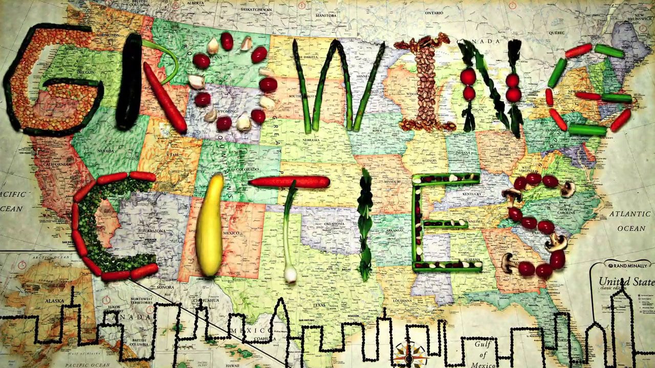 Growing Cities on Vimeo