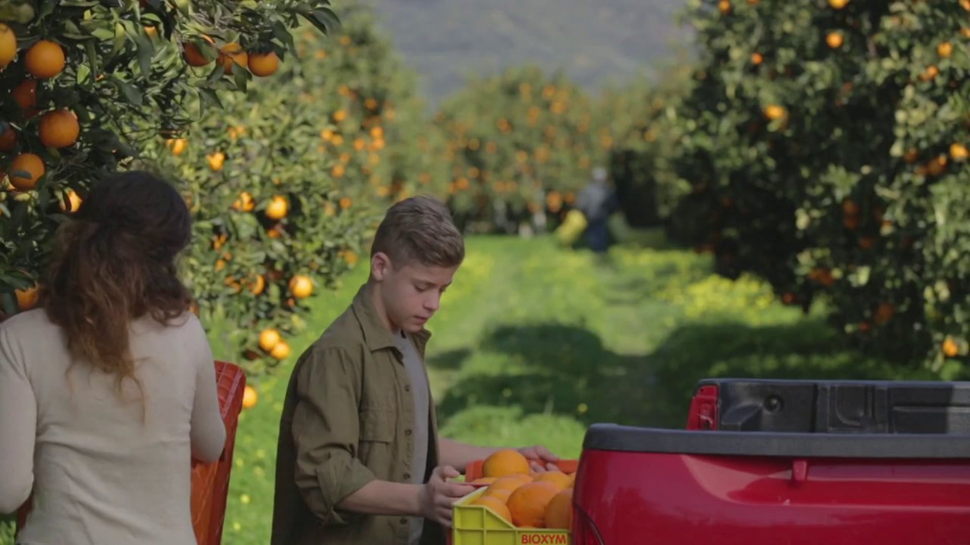 Creta Fresh - Fruits of Crete