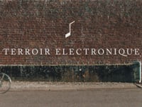 TERROIR ELECTRONIQUE - 1ER MARS - FLECHE D'OR