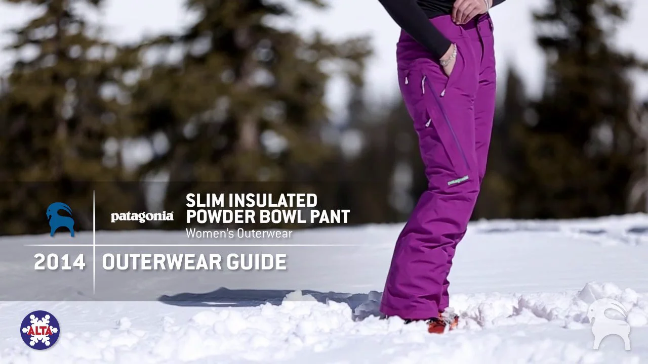 Patagonia powder bowl insulated on sale pants