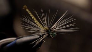 A fly vise holding a undefined after it is tied