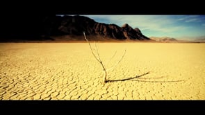 CABOTELLA COMMERCIAL