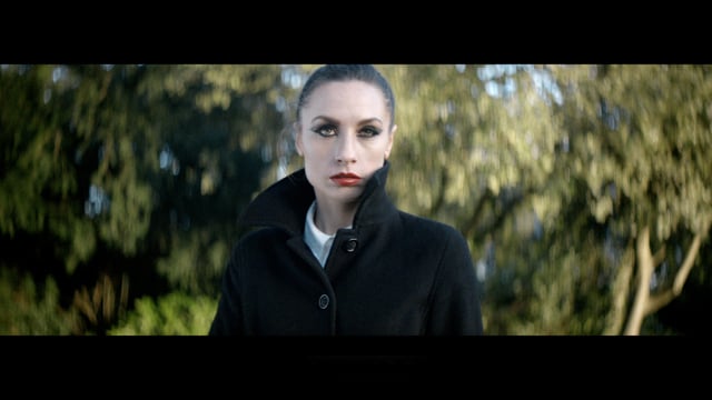 Related Embedded Video Item Thumbnail