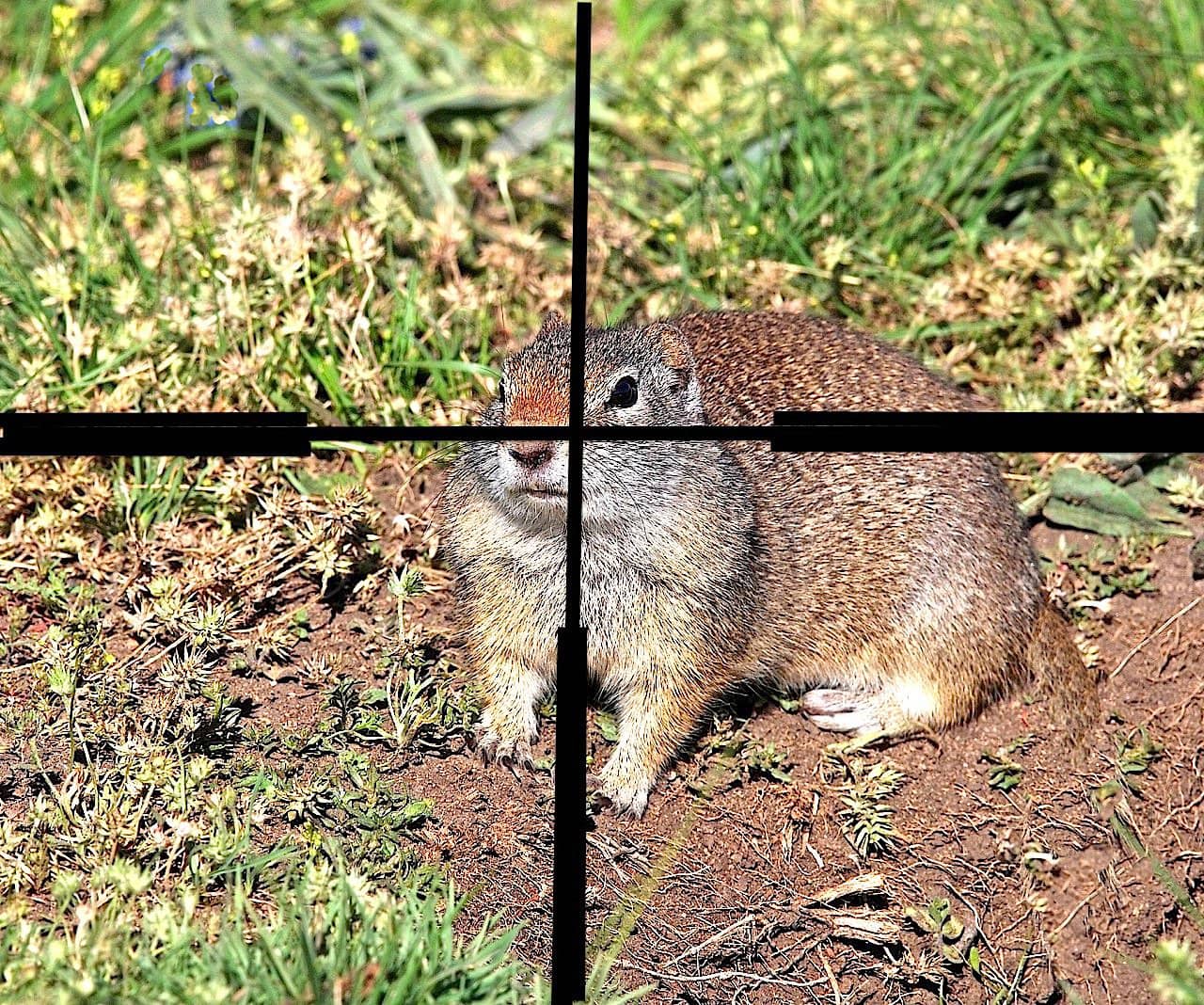 17 HMR vs. Sage Rat on Vimeo