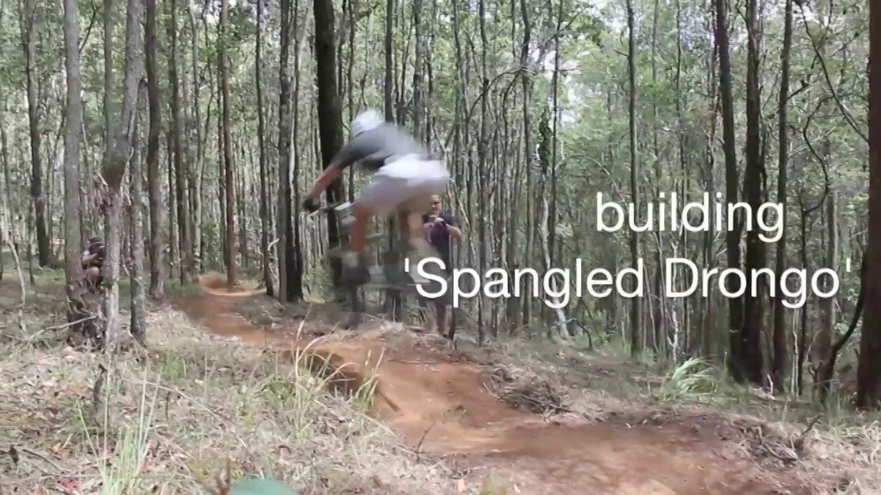 Building 'Spangled Drongo' on Vimeo