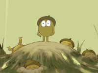 Acorn
