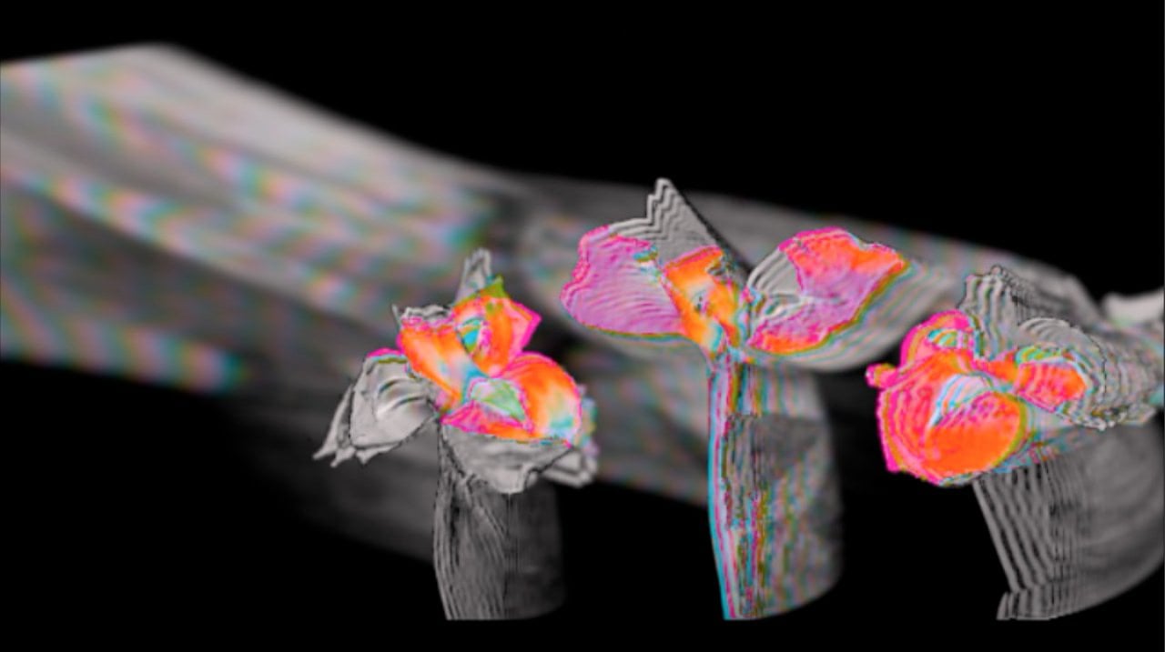 Screenshot of Ecstatic Symphony