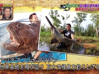 Mark the Shark on a Japanese TV Show