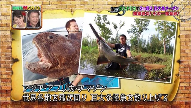 Mark the Shark on a Japanese TV Show