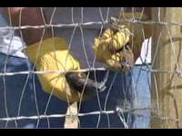 Keepsafe V-Mesh Horse Fence Installation (How To)