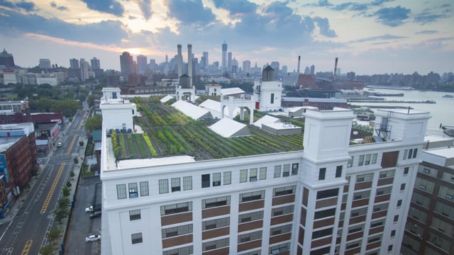 Brooklyn Grange - A New York Growing Season