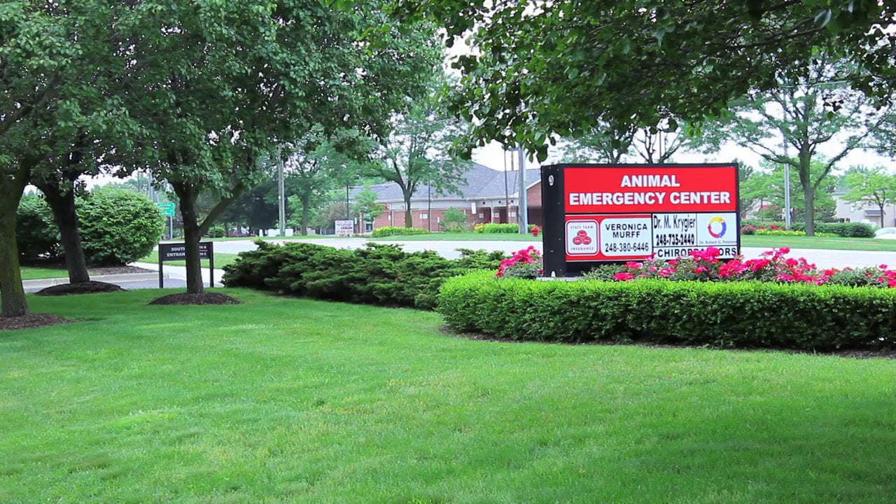 Animal Emergency Hospital Novi on Vimeo