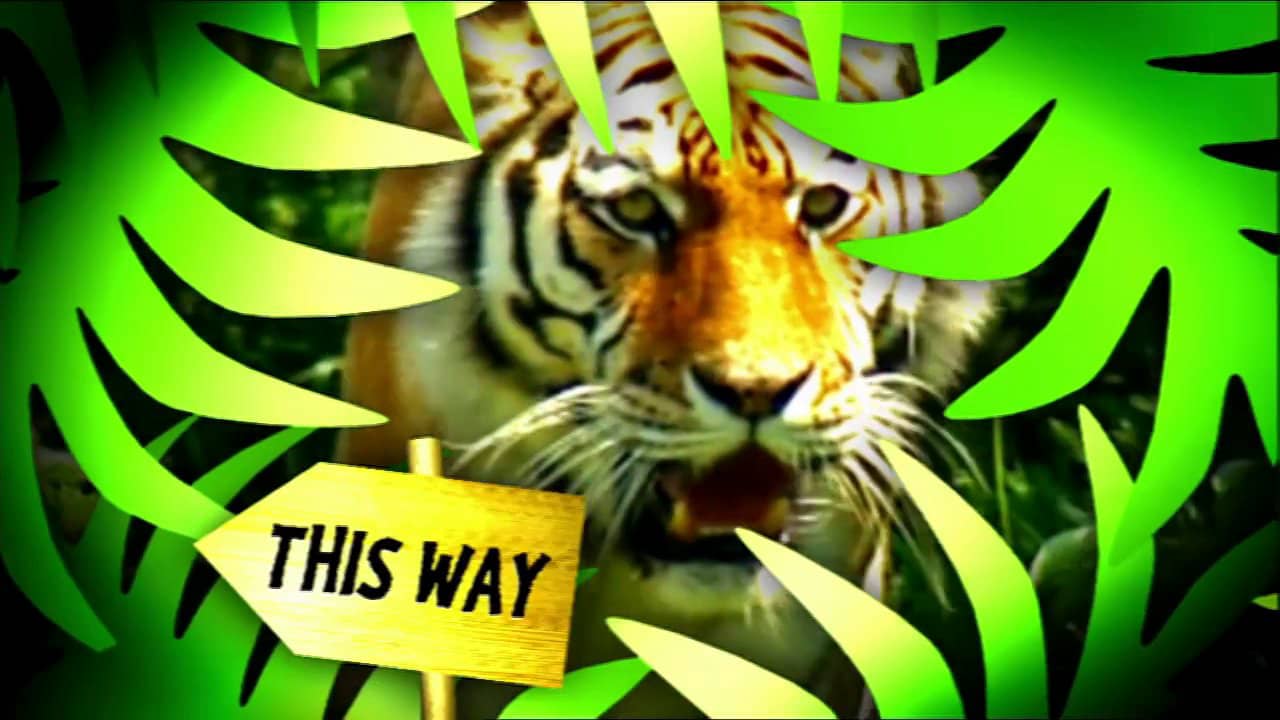 Roar Cbbc On Vimeo