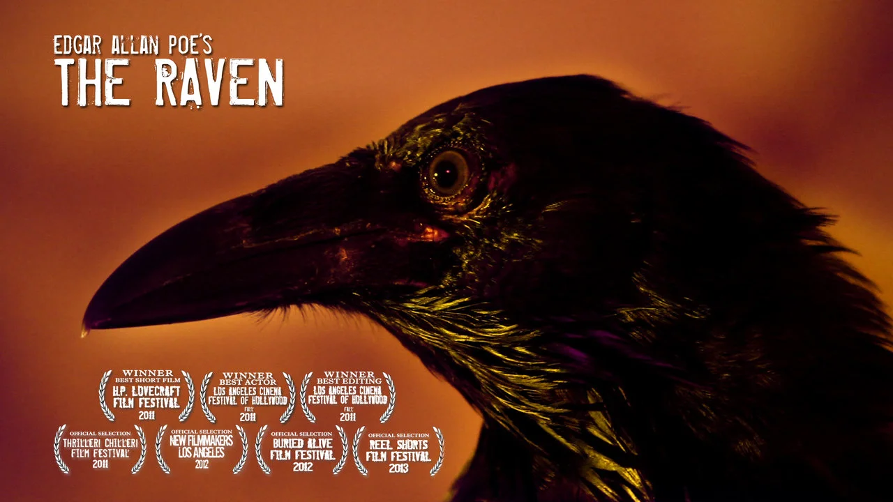 The ravens are the unique. Edgar POE Raven. The Raven Edgar Allan POE.