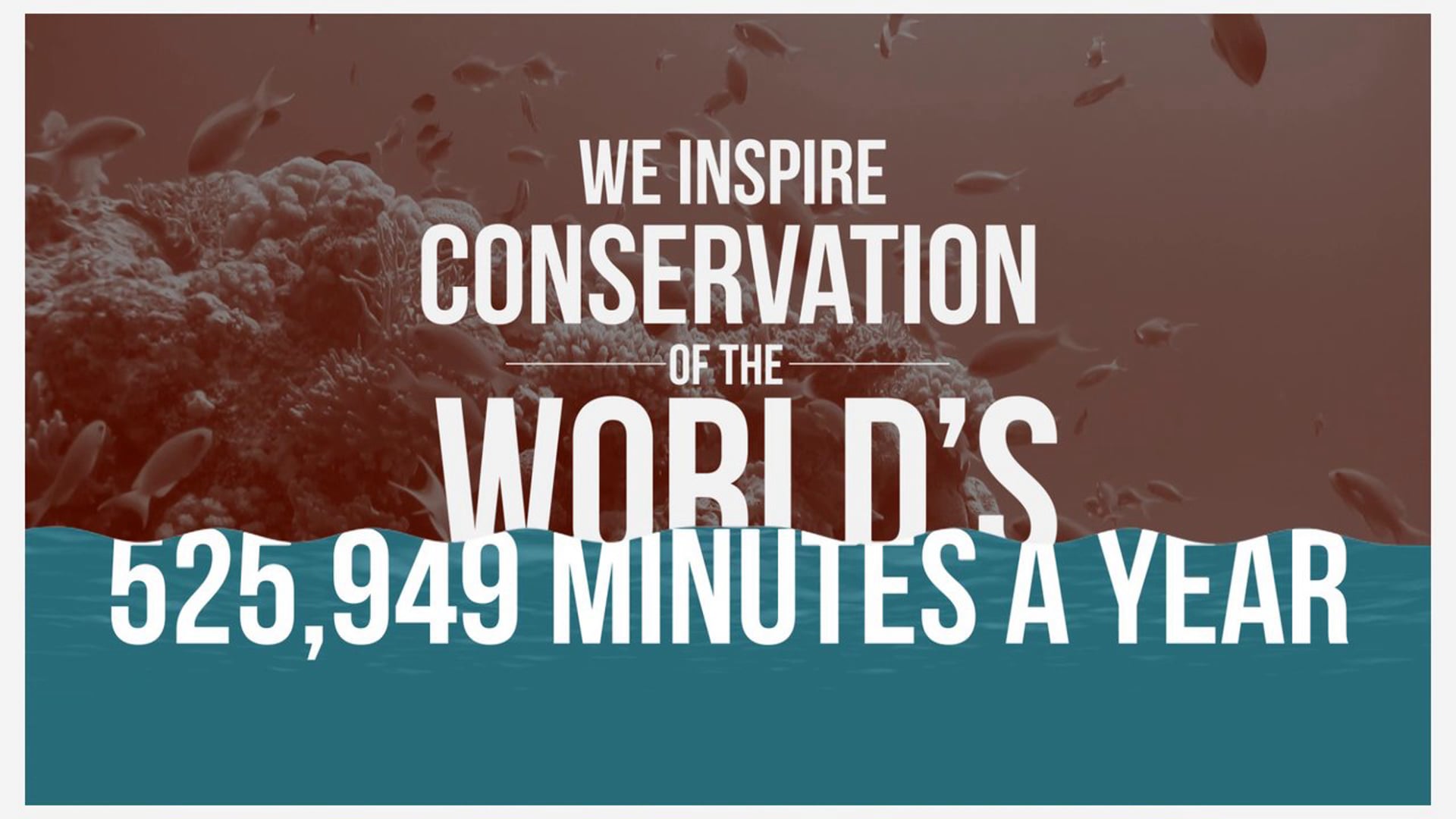 National Aquarium 2013 - By The Numbers