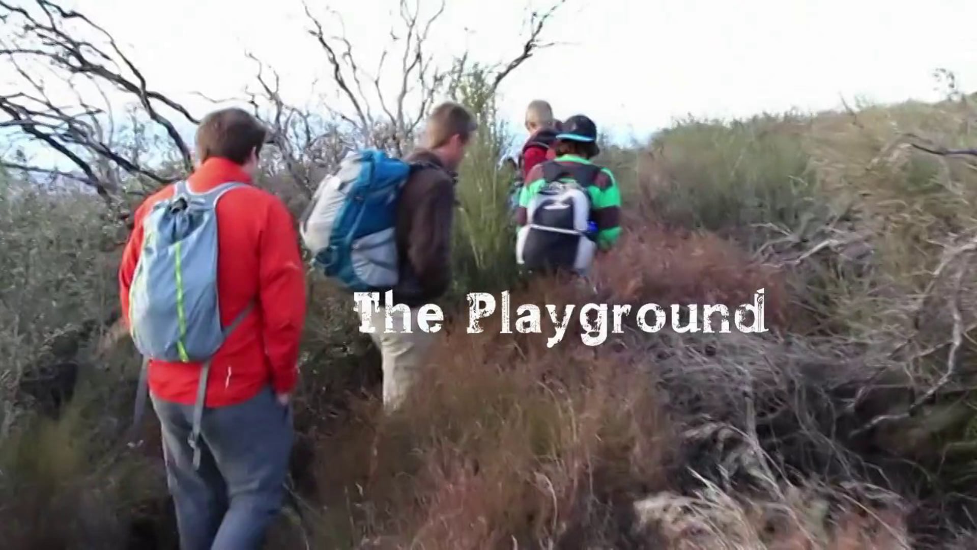 The Playground