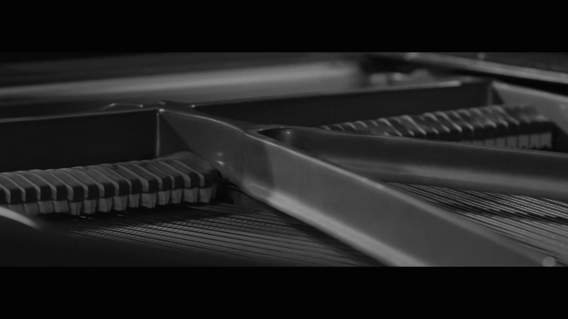 The Darcys- THE PACIFIC THEATRE