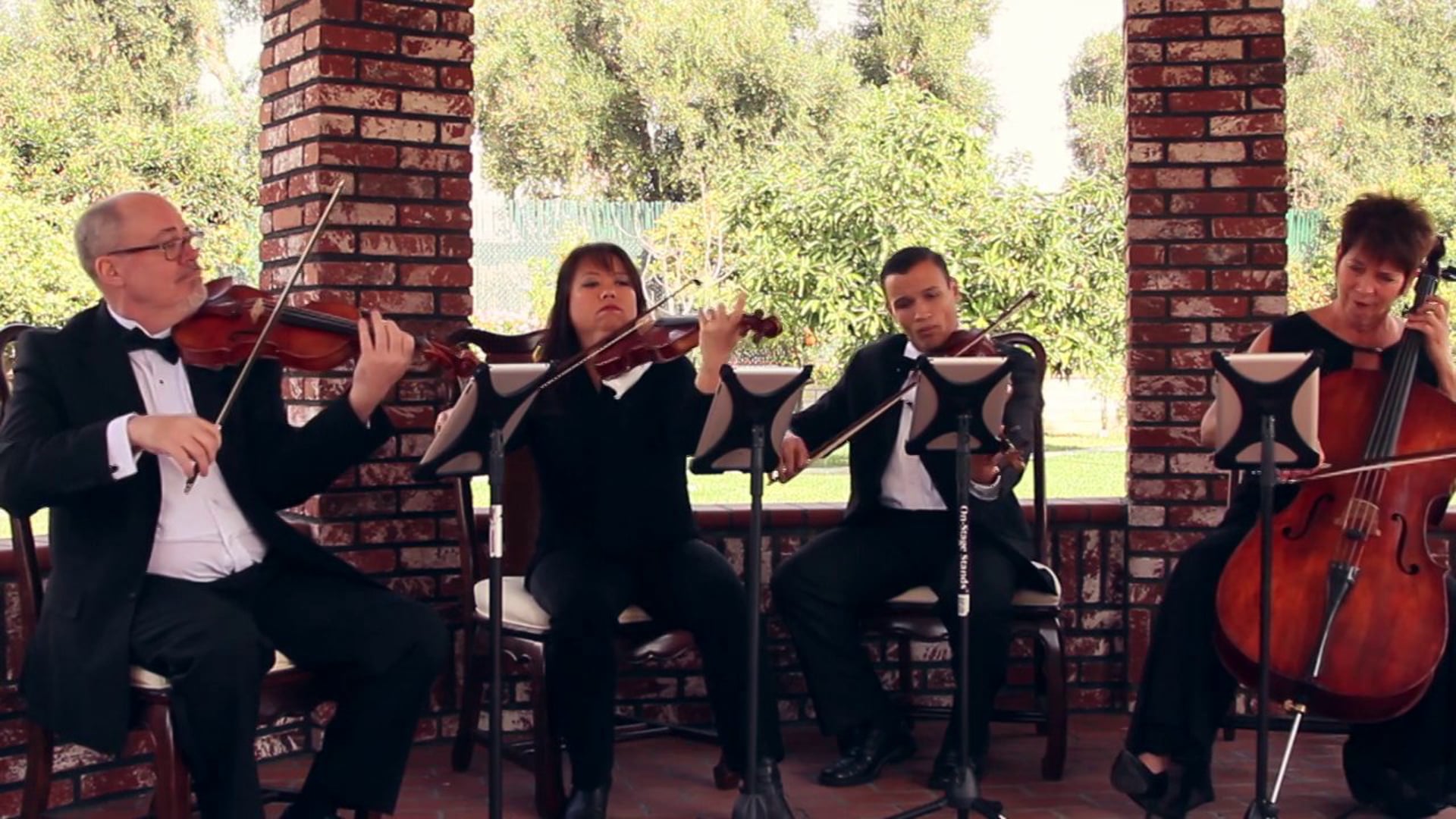 Promotional video thumbnail 4 for Plays Well With Others