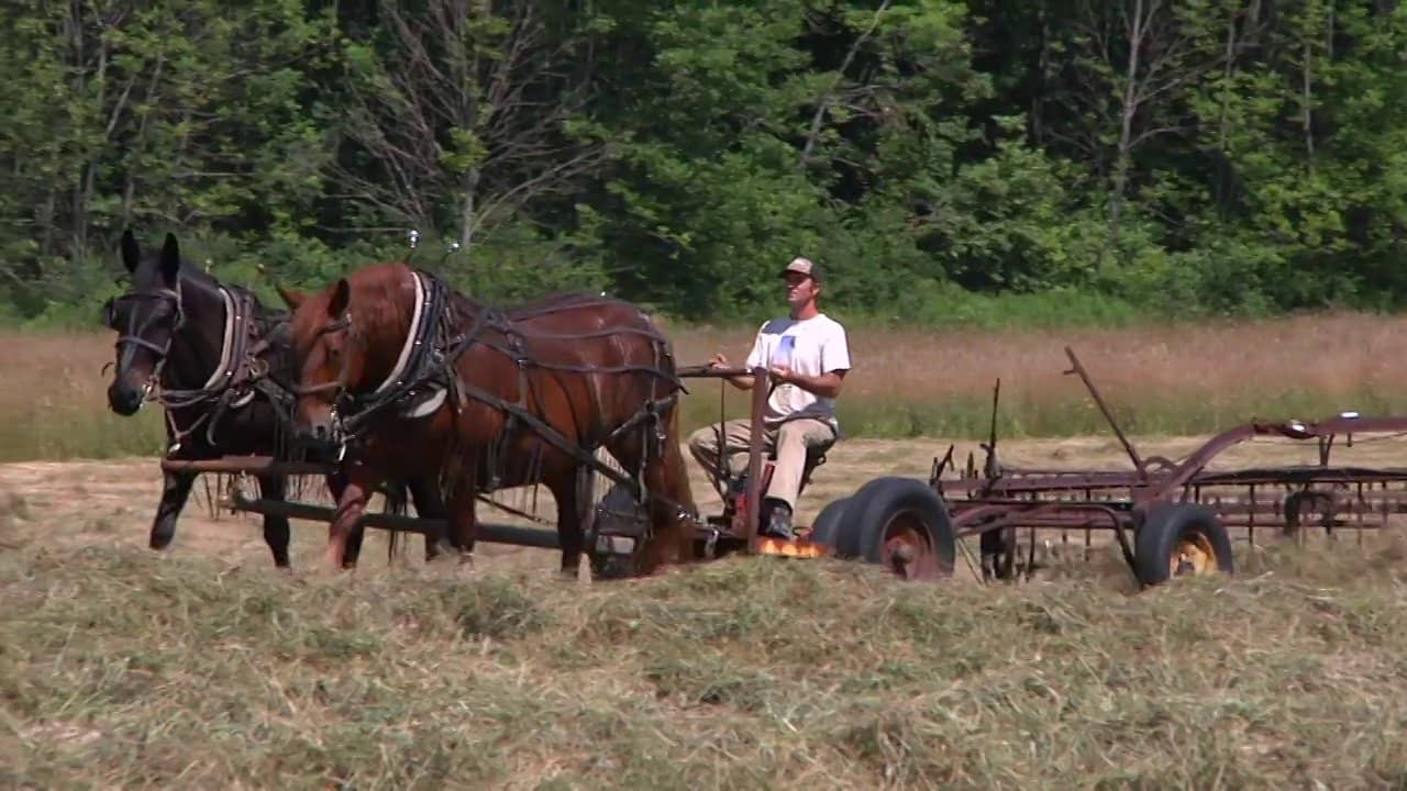 Farming with horses and mules on Vimeo