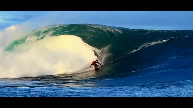 Tiger on the loose from Tom Butler Surfing