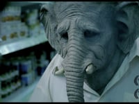 Der Elefant