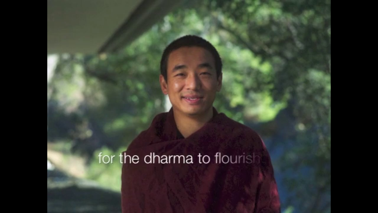 Meet Dongsung Shabdrung Rinpoche