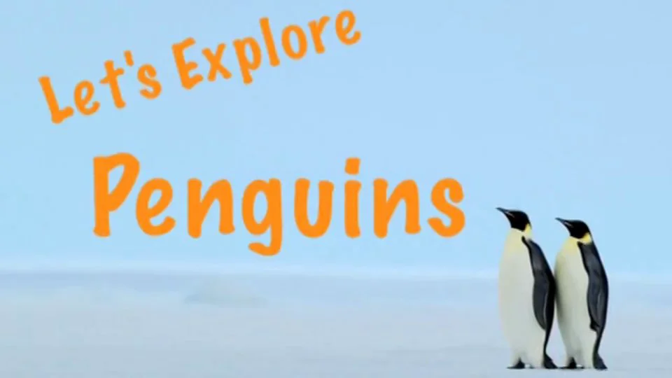 Let's Explore Penguins! on Vimeo