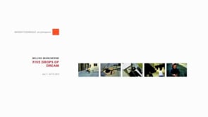 Video of opening at Miyako Yoshinaga Gallery, NY