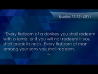 February 16 Sermon 2014