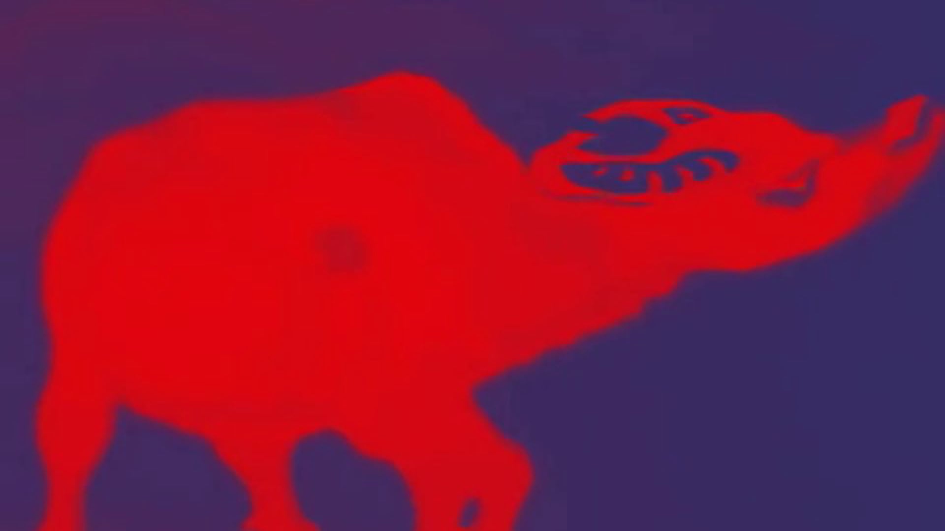 Monkey King & Bull