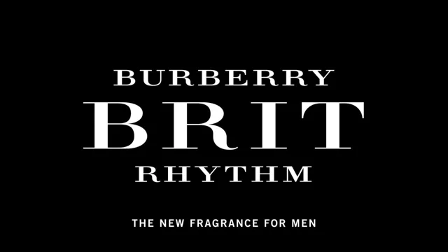 Burberry brit logo sale