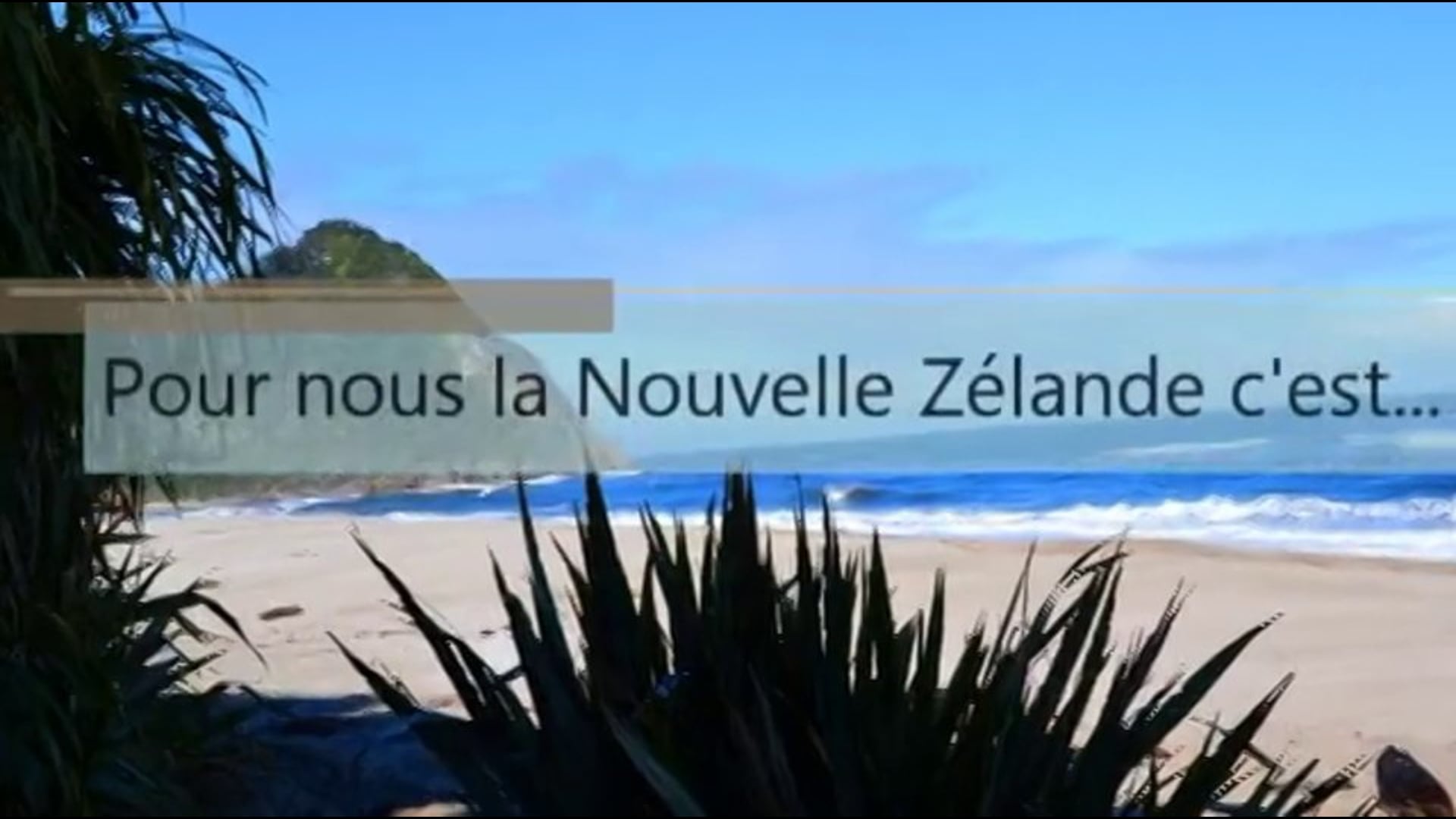 Pour nous la Nouvelle Zélande c'est...