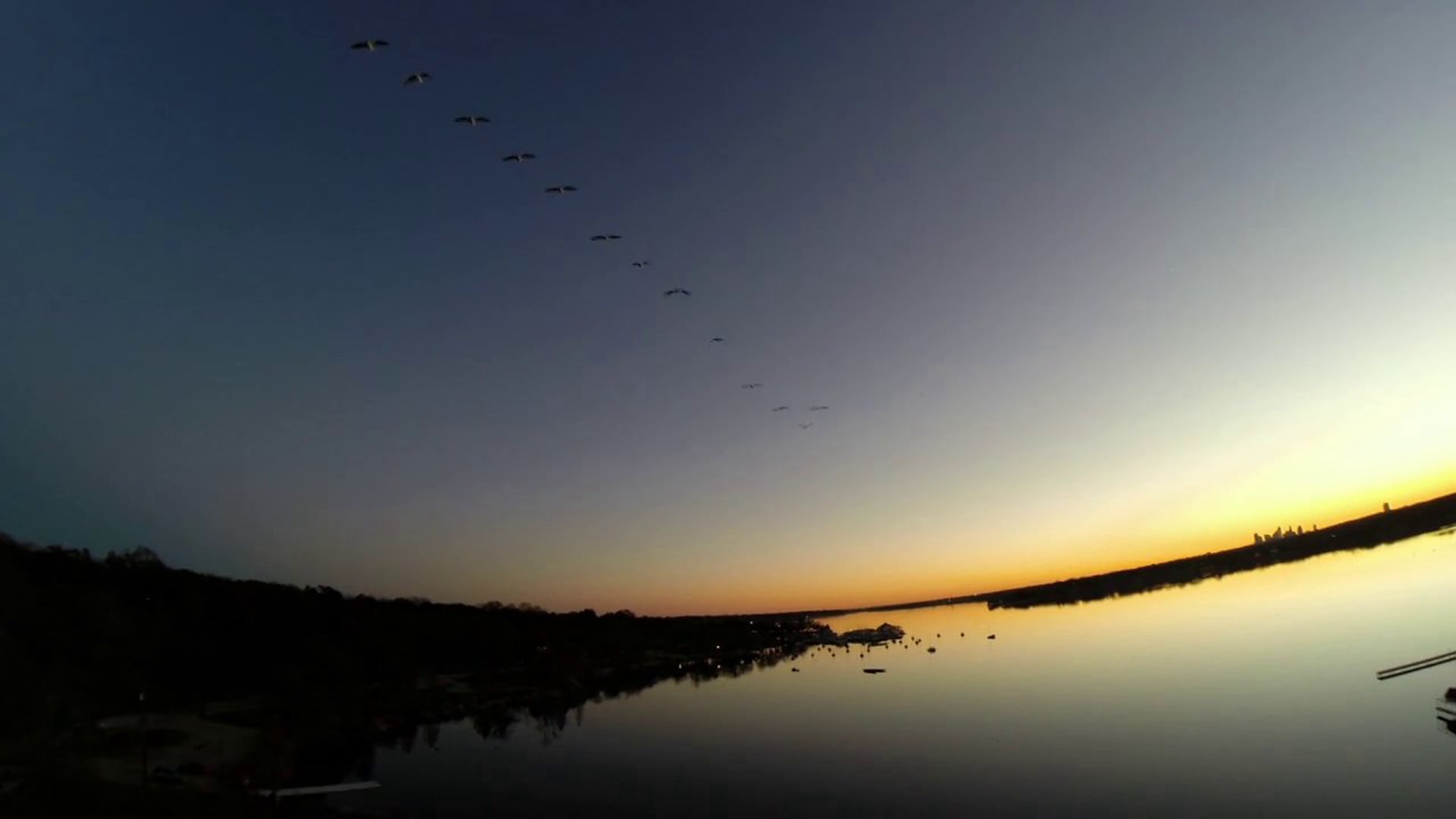 Lamps, Ducks, and Cabins