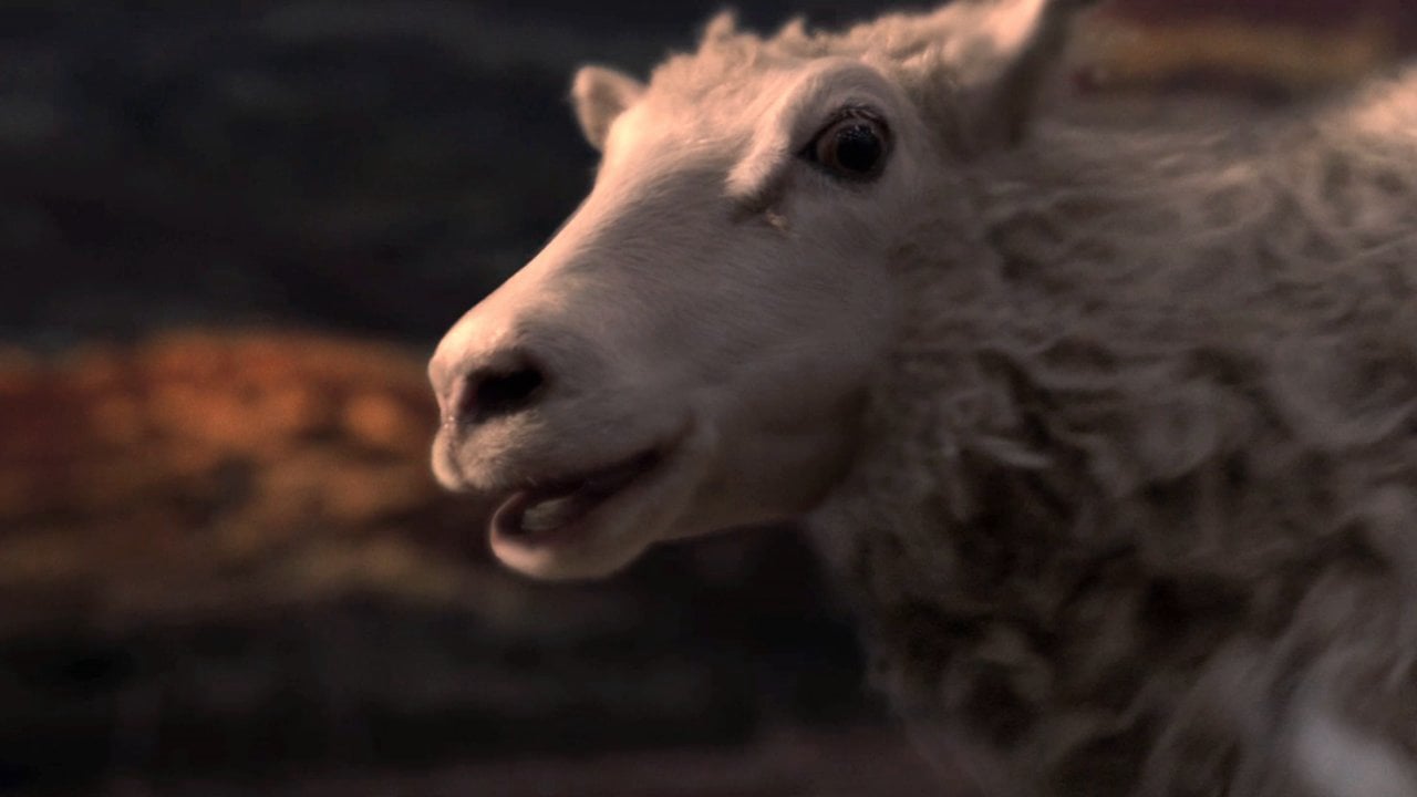 Volkswagen - Sheep on Vimeo