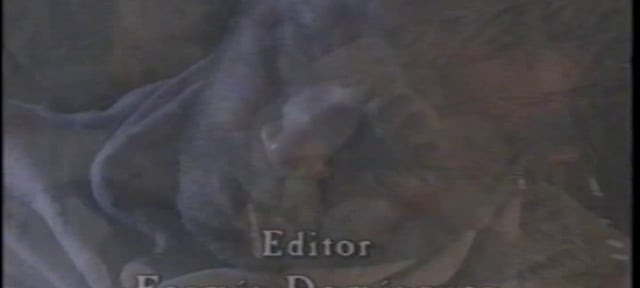 El verdugo (ficción)