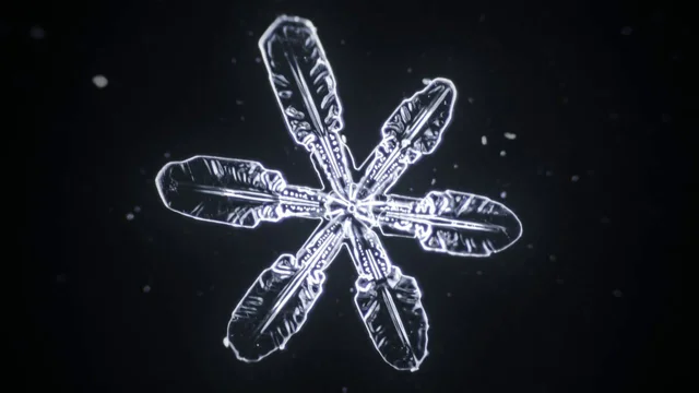 Snowflake Under Microscope