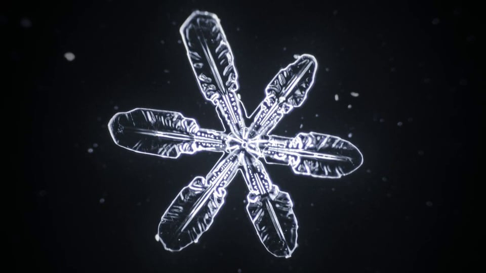 Snowflake forming under a microscope