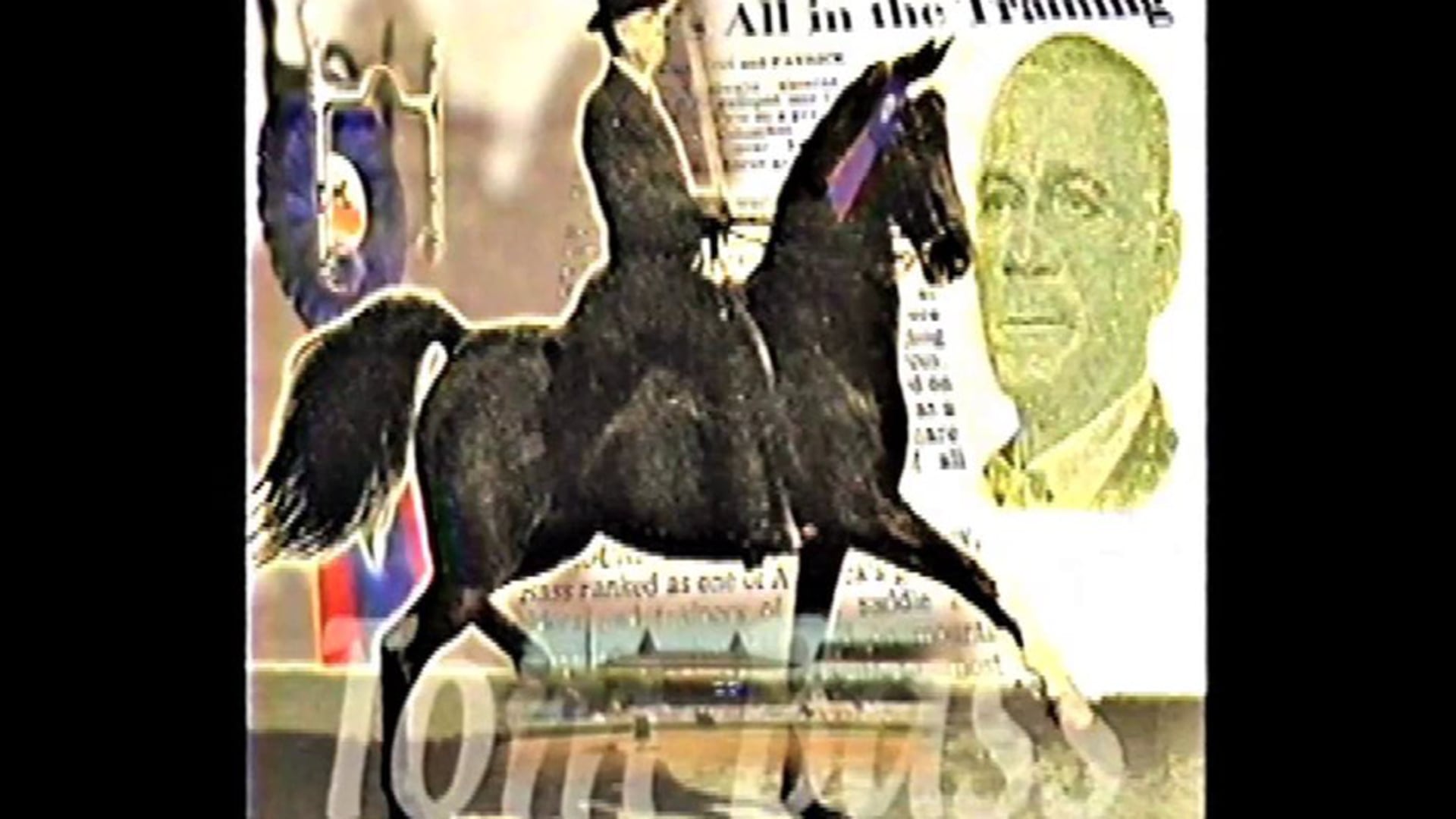 Tom Bass... Equestrian