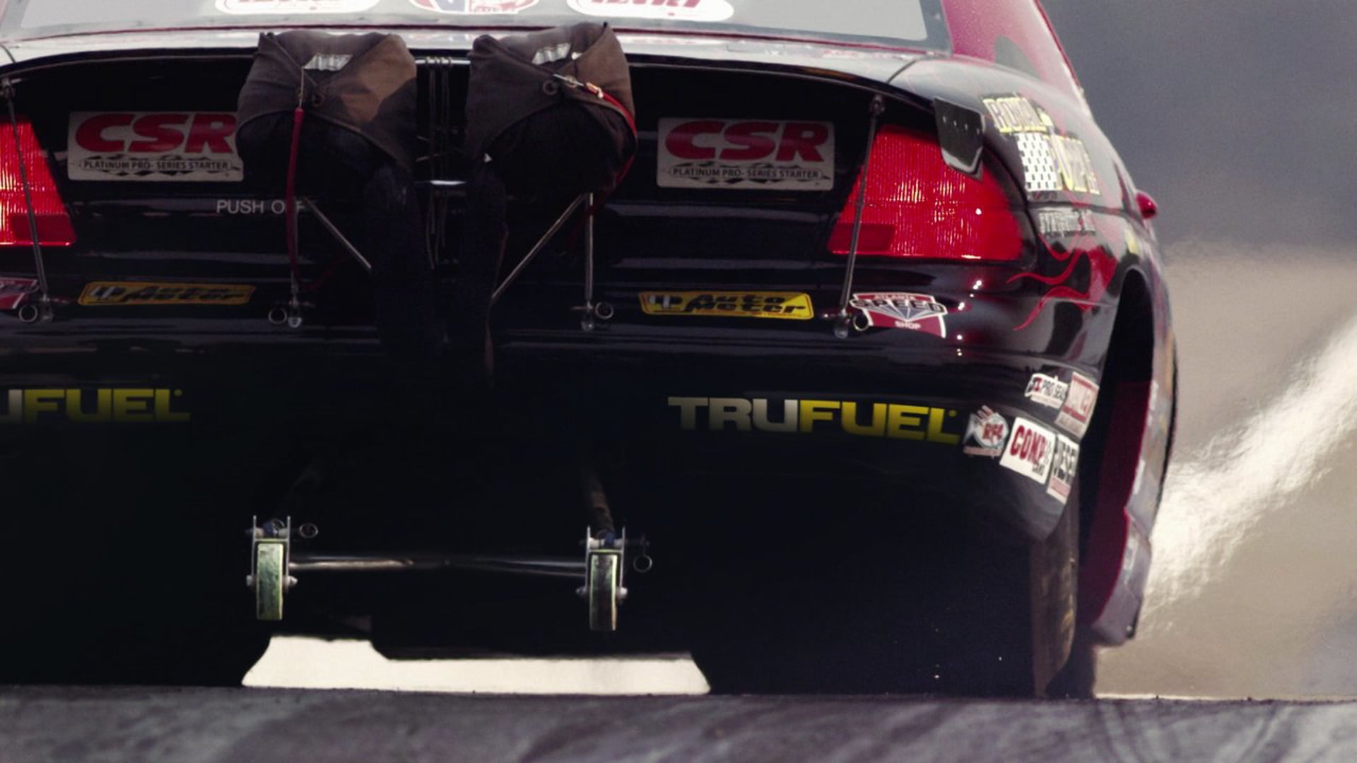 Royal Purple -  Nicole Lyons