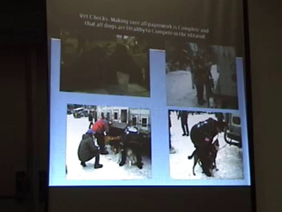 Kim Darst North To Alaska And Veterinarians Check The Dogs On Vimeo