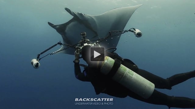 Pegausus Thruster Trip Report #5 on the Solmar V by Adil Schindler