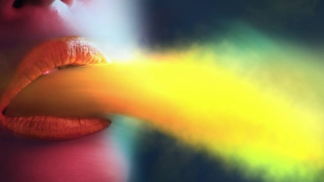 MAYa - we shall not disappear thumbnail