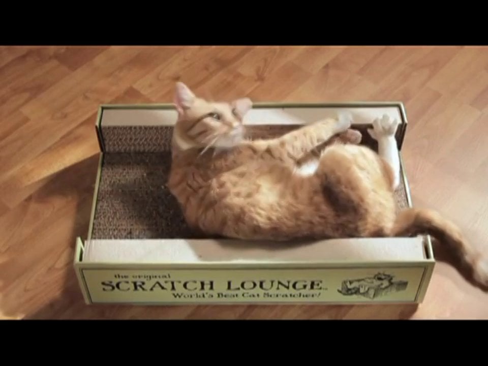 SCRATCH LOUNGE Worlds Best Cat Scratcher on Vimeo